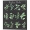 Kitchen Herb Chart on Black II by Chris Paschke 16" x 20" Canvas Wall Art